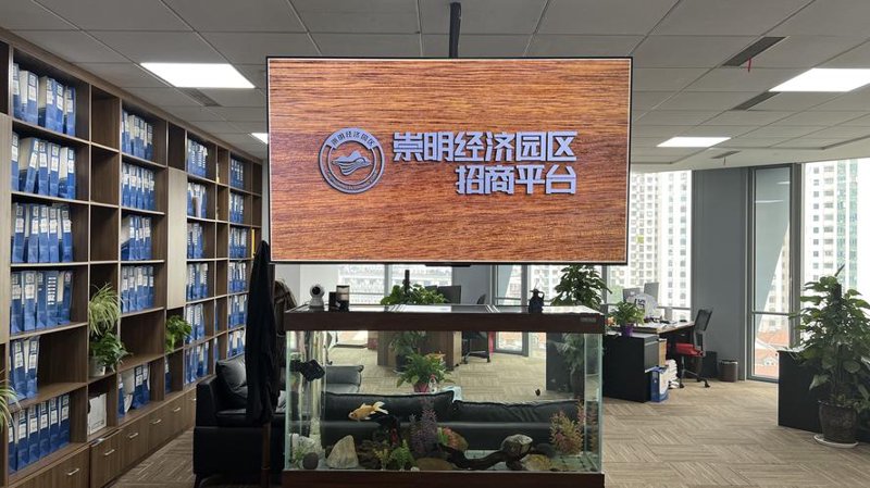 数据调研分析